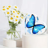 Butterfly gift for birthdays and other occasions